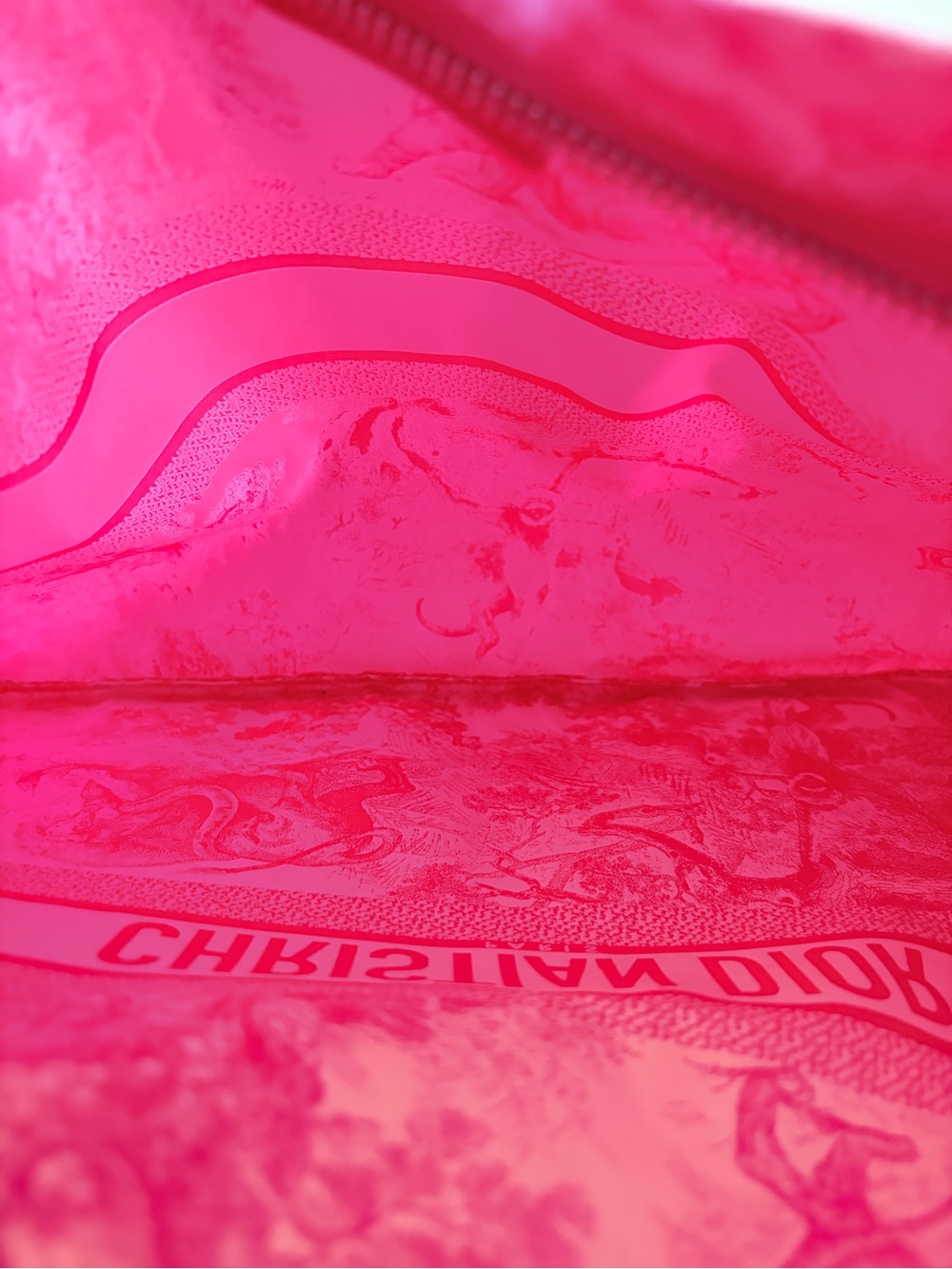 Christian Dior Pink Toile Pouch - Picture 7 of 9